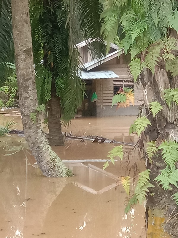 HULU Sungai Besitang meluap, pemukiman warga di Desa Sekoci, Kec. Besitang, terendam banjir. Waspada/Ist