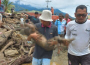 Bocah Terseret Arus Banjir Di Agara Ditemukan Meninggal Dunia