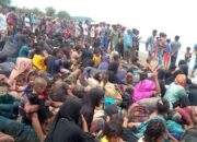 Ratusan Pengungsi Rohingya Mendarat Lagi Di Pidie