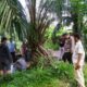 Kapolres Padanglawas, AKBP Diari Astetika, SIK bersama perwira penghubung Kodim 0212/TS turun langsung melakukan penggerebekan lokasi peredaran dan penyalahgunaan narkoba. (Waspada/Ist)