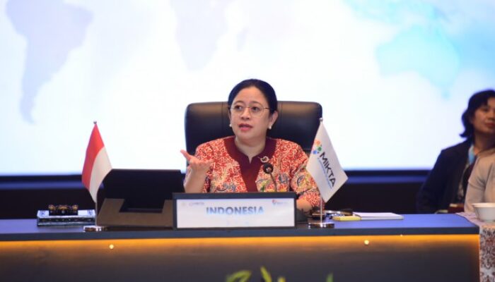 Meski Ada Perbedaan Pandangan, Parlemen MIKTA Sepakat Dorong Perdamaian di Palestina