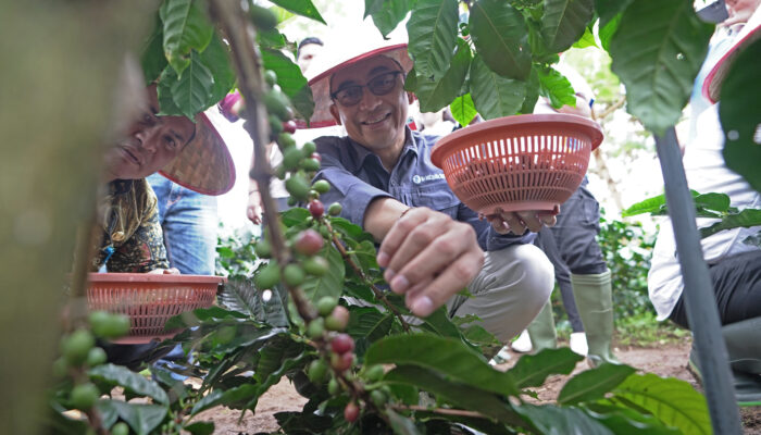 Wujudkan Local Economic Development, BI Kembangkan Klaster Kopi Di Dairi