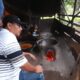 Kembangkan Potensi Aren Untuk Kemaslahatan Warga Madina
