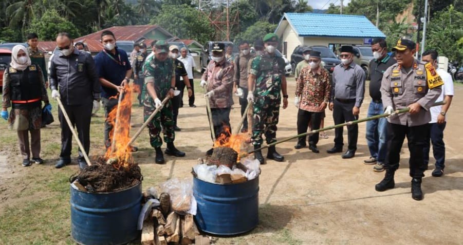 3 Kg Sabu Dan 19,9 Kg Ganja Dimusnahkan Polres Padangsidimpuan 3 Kg Sabu Dan 19,9 Kg Ganja Dimusnahkan Polres Padangsidimpuan