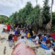 Lagi, Pengungsi Rohingya Terdampar Di Sabang