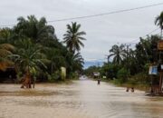 Dua Kecamatan Terendam Banjir Di Nagan Raya