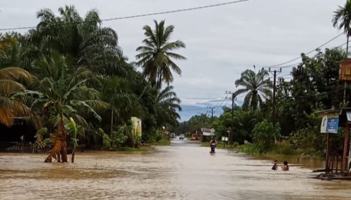 Dua Kecamatan Terendam Banjir Di Nagan Raya