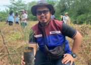 Pertamina EP Rantau Field Tanam 600 Bibit Pohon Cemara