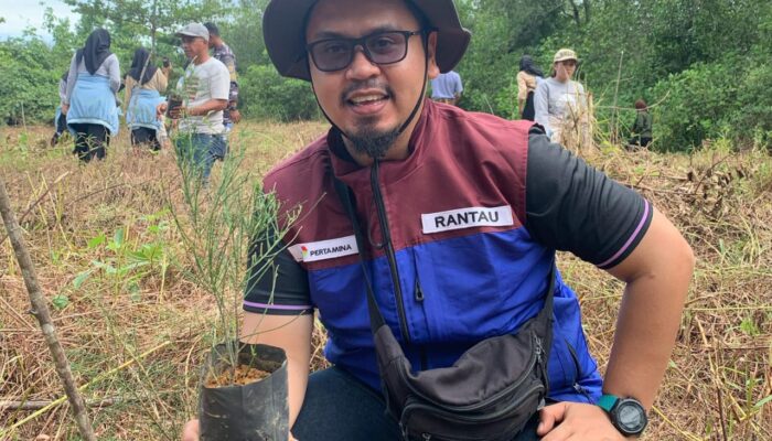 Pertamina EP Rantau Field Tanam 600 Bibit Pohon Cemara