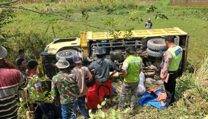 Truk Pengangkut Batu Jatuh Ke Jurang, 1 Tewas