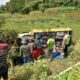 Truk Pengangkut Batu Jatuh Ke Jurang, 1 Tewas
