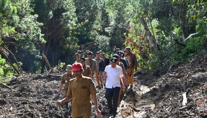 Longsor Di Baktiraja Humbahas Diduga Akibat Illegal Logging