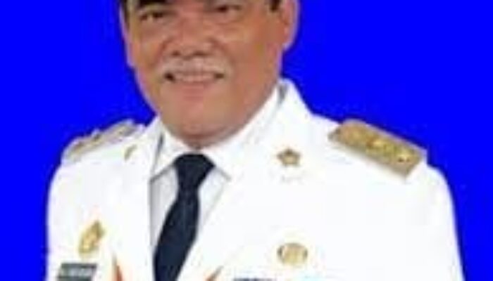 8 Desember 2023, HM Ali Yusuf Siregar Dilantik Jadi Bupati DS