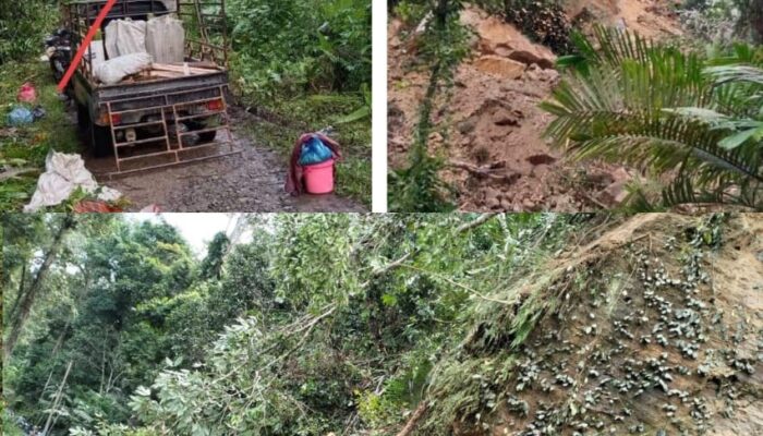 Bupati Madina: Hati-hati Cuaca Ekstrem, Waspadai Kotanopan