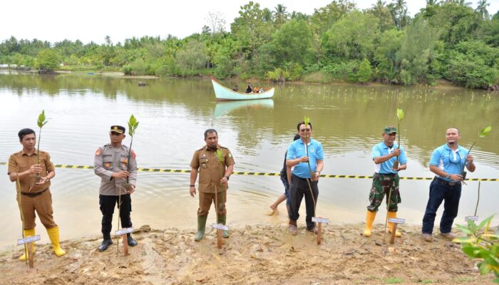 Solusi Bangun Andalas Tanam Ribuan Mangrove