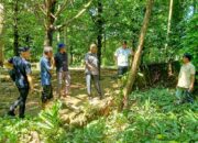 Pj Bupati Abdya Tinjau Lahan Pertanian Yang Rusak Dihantam Banjir