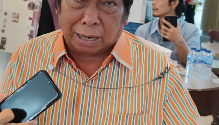 Anthon Sihombing: Keputusan MK Cawapres Di Bawah Umur 40 Tahun Wajar