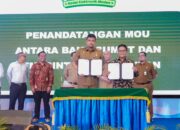 Aplikasi Kedan, Wadah Pasarkan Produk UMKM Dan Toko Kelontong