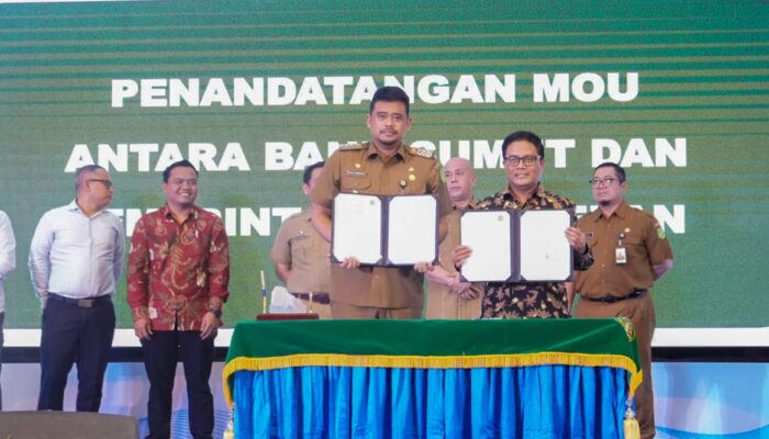 Aplikasi Kedan, Wadah Pasarkan Produk UMKM Dan Toko Kelontong