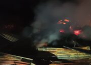 Kandang Bersama 3 Sapi Hangus Dilalap Si Jago Merah