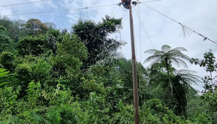 PLN Berhasil Pulihkan Kelistrikan Di Mandailing Natal Pasca Tanah Longsor