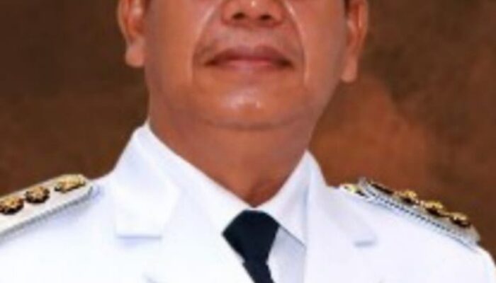 Bupati Simalungun Dan Tapanuli Selatan Akan Terima Anugerah PWI