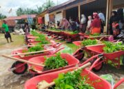 Masyarakat Aceh Singkil Terima Bantuan Bibit Dan Alat Pertanian
