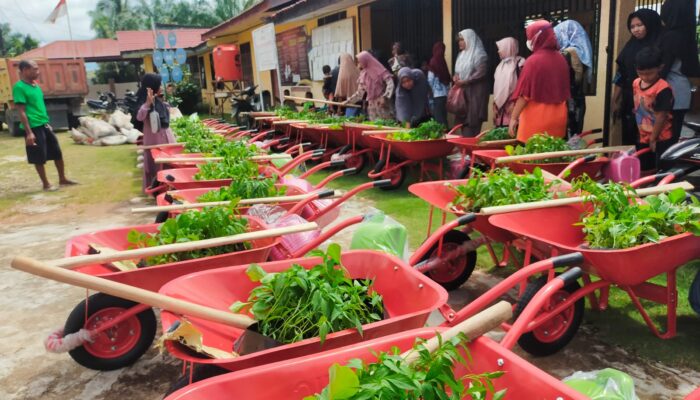 Masyarakat Aceh Singkil Terima Bantuan Bibit Dan Alat Pertanian
