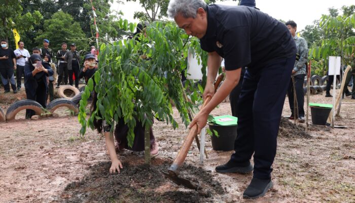 KLHK Ajak Aksi Gerakan Menanam Pohon Mengisi Pergantian Tahun