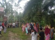 Pulang Dari Kebun, Warga Peutow Hanyut Di Krueng Langsa