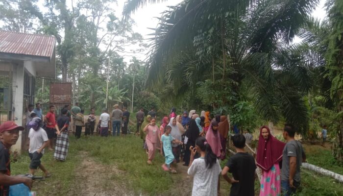 Pulang Dari Kebun, Warga Peutow Hanyut Di Krueng Langsa