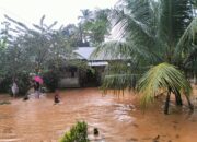 Tiga Kecamatan Di Aceh Jaya Direndam Banjir