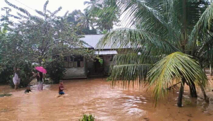 Tiga Kecamatan Di Aceh Jaya Direndam Banjir