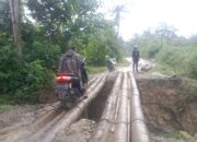 Sentra Perkebunan Kelapa Sawit Aceh Utara Di Barei Blang Terisolir