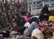 Dua Bulan Agresi Israel Ke Palestina, Korban Tewas Lebih 17 Ribu Jiwa