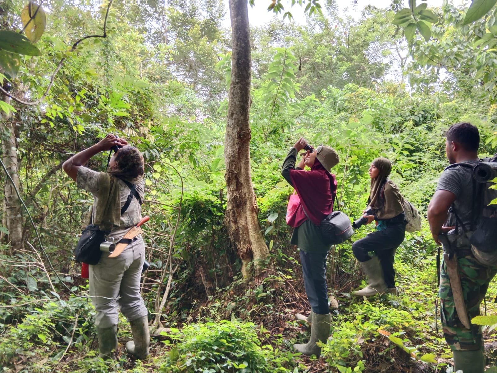 Nama Alue Lhok Viral Di Kalangan Pecinta Burung Dunia, Kenapa..???