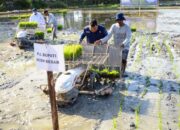 Wamentan Dukung Gerakan Percepatan Tanam Padi Di Aceh Besar