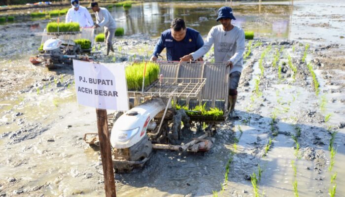Wamentan Dukung Gerakan Percepatan Tanam Padi Di Aceh Besar