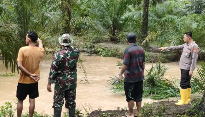 Debit Air Alur Kebun Sawit Meningkat, Bocah Meninggal Tenggelam