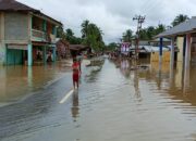 Wilayah Hulu Aceh Tamiang Mulai Terendam Banjir