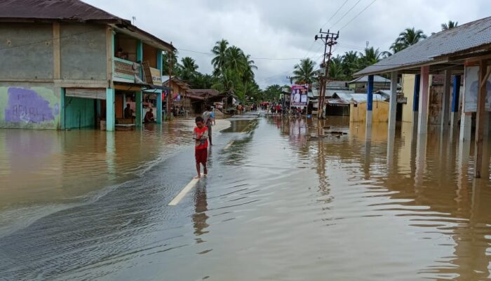 Wilayah Hulu Aceh Tamiang Mulai Terendam Banjir