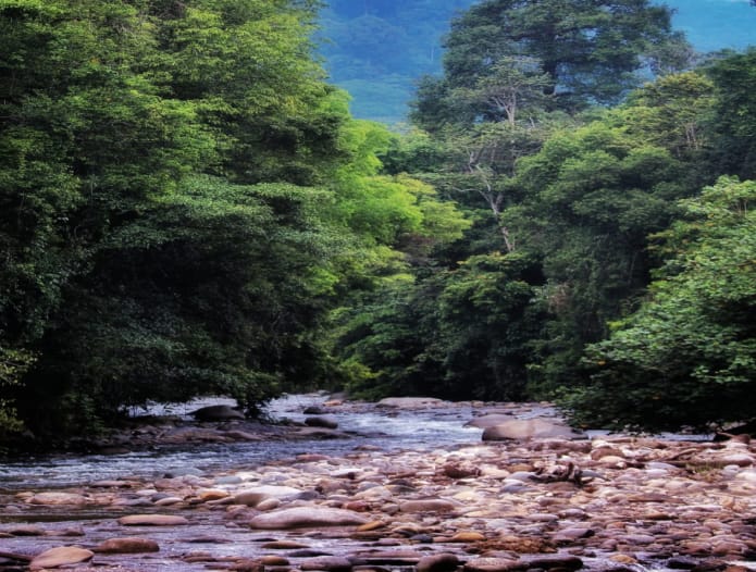 Objek Wisata Ketambe Aceh. Waspada/Ist