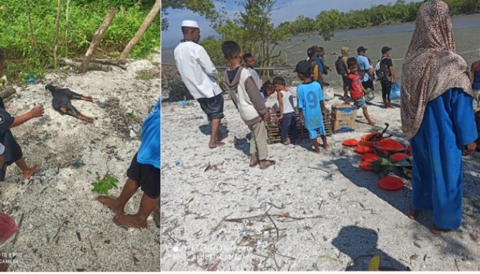 Potong Kambing Hitam, Ritual Jamu Laut Di Desa Tali Air Permai