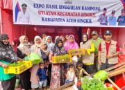 Galakkan B2SA, Ketua PKK Serahkan Bantuan Benih Sayuran Dan Alat