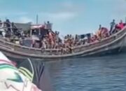 Soal Rohingya, Pemkab Pidie Diminta Tidak Kompromi Dengan UNHCR/IOM