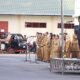 Wali Kota Binjai pimpin Upacara Hari Bela Negara.(Waspada/Ist)