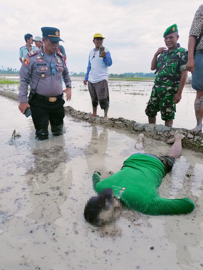 Petani Sergai tewas di sawah. Waspada/ist