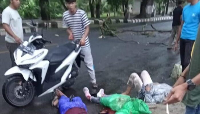 Warga Pijay Meninggal Di Sabang Ketimpa Dahan Kayu