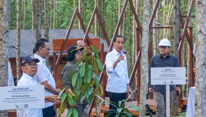 Menteri LHK Siti Nurbaya Dampingi Presiden Jokowi Tanam Pohon Di IKN