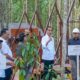 Menteri LHK Siti Nurbaya Dampingi Presiden Jokowi Tanam Pohon Di IKN